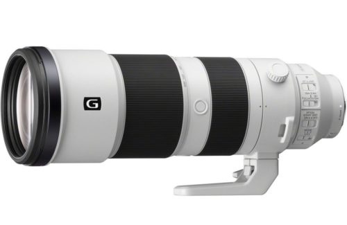 Review: Sony 200-600mm f5.6-6.3 G OSS Super Telephoto (Sony FE)