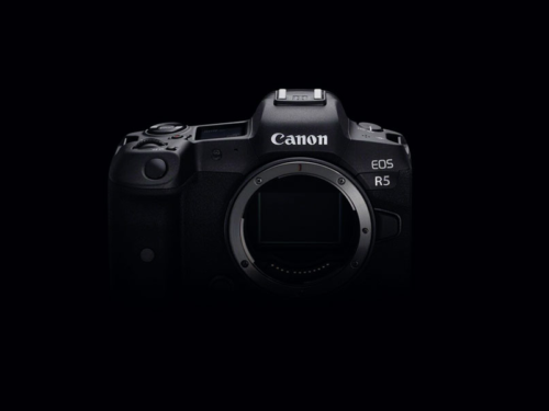 Canon EOS R vs EOS R5 – The Five Main Differences