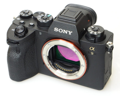 Sony Alpha A9 II (9M2) Review