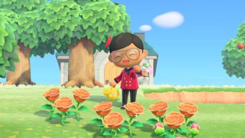 Nature Day: Everything you need to know about Animal Crossing: New Horizon’s new update