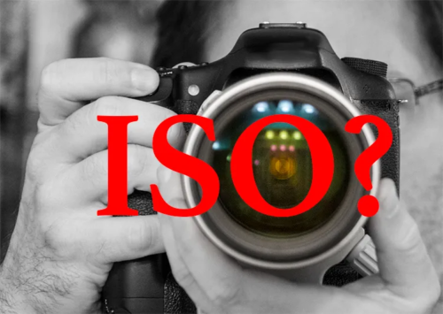 The ins and outs of ISO: What is ISO?