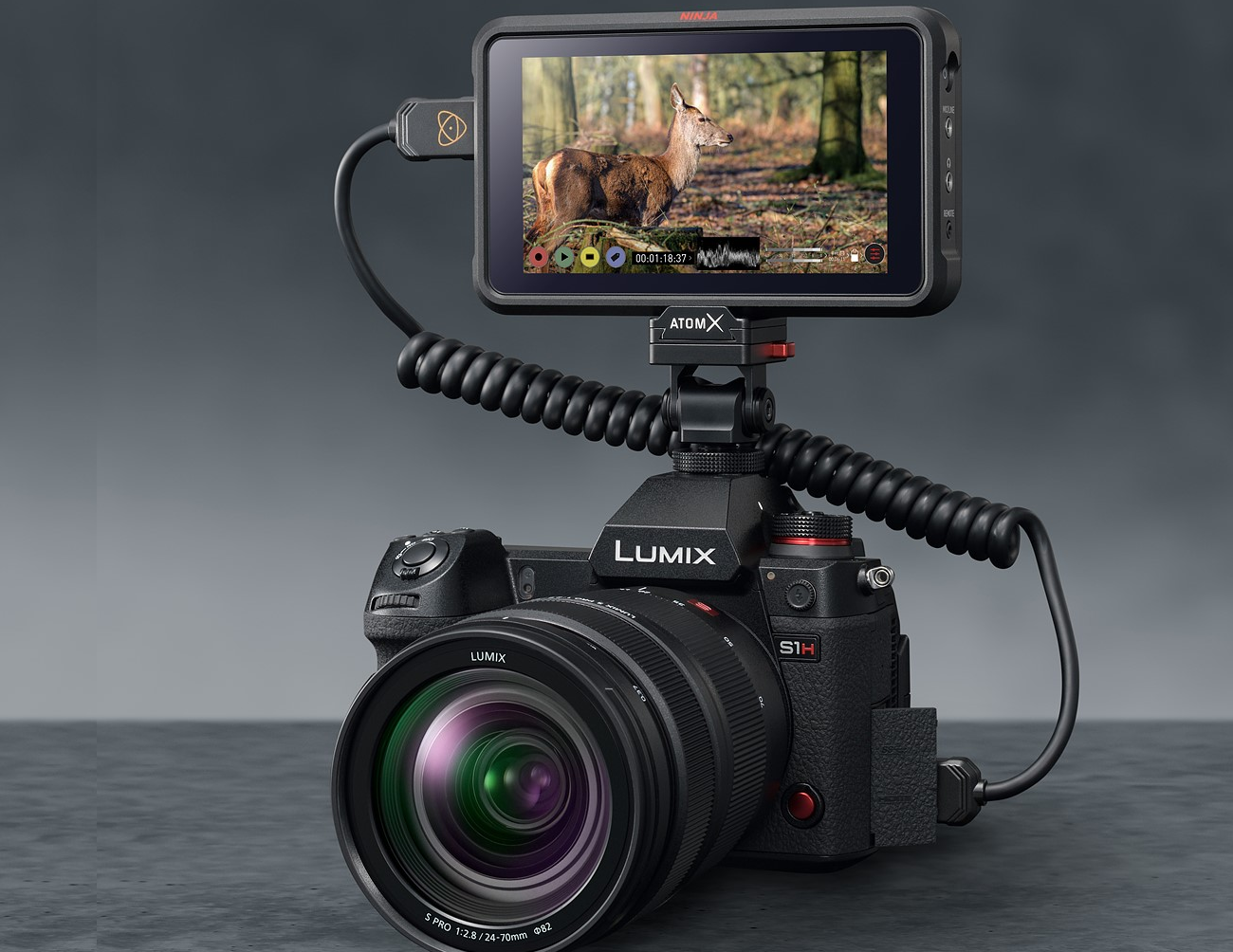 Panasonic announces 5.9K ProRes Raw video for Lumix DC-S1H - GearOpen.com