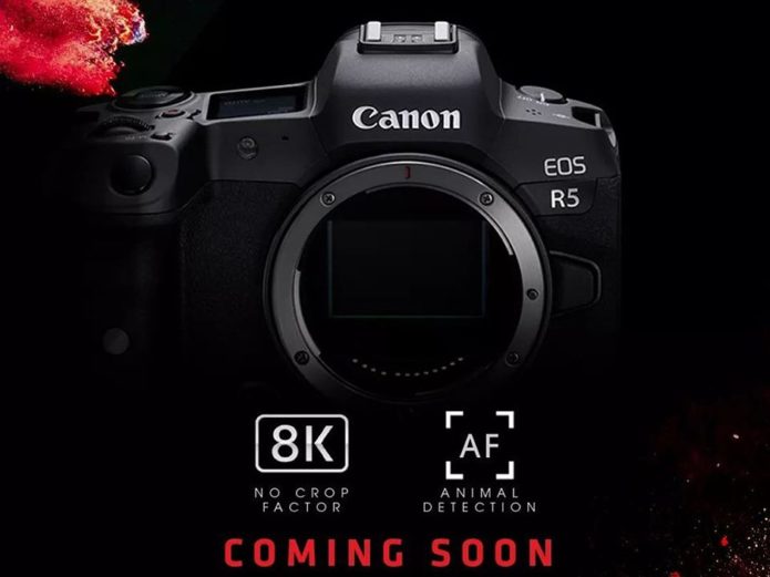 8K and then some: what the Canon EOS R5's video specs mean