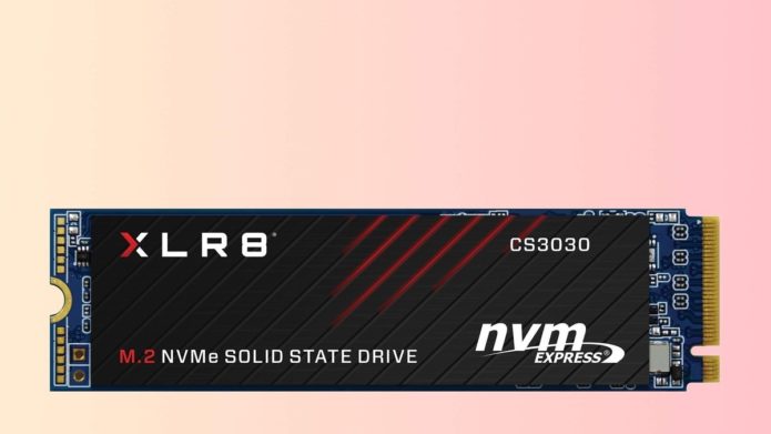 PNY XLR8 CS3030 NVMe SSD review: Cheap and exceptionally fast for everyday chores
