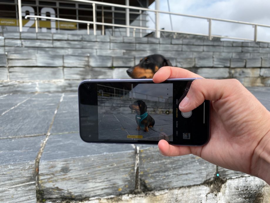 The iPhone XR is no longer the world’s most popular smartphone