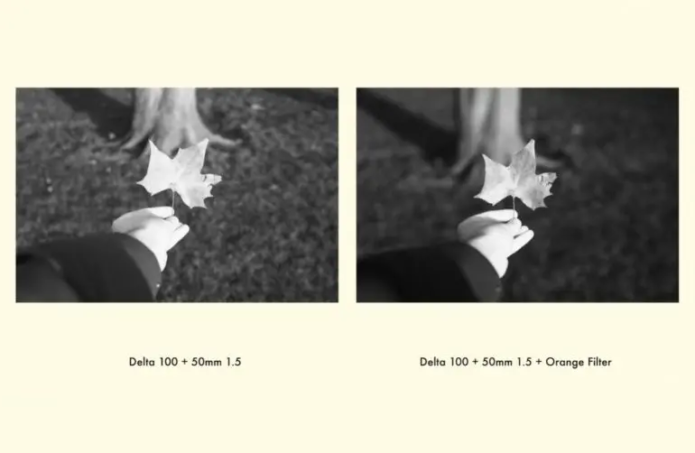 Comparing Different Color Filters for Black and White Film Photography