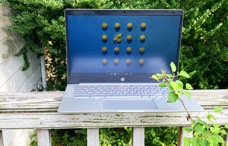 HP Pro C640 Chrome Enterprise review