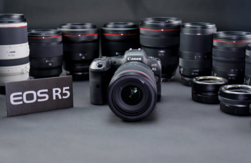 Canon EOS R5 vs EOS R6, 5D Mark IV, 5DS R and Sony a7R IV