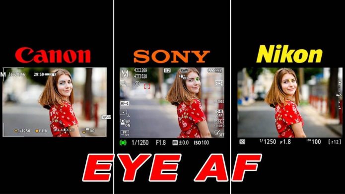 Canon EOS R5 vs Sony a7R IV vs Nikon Z7 Eye AF Comparison