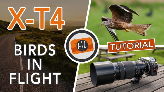 Fujifilm X-T4 and Birds in Flight Review
