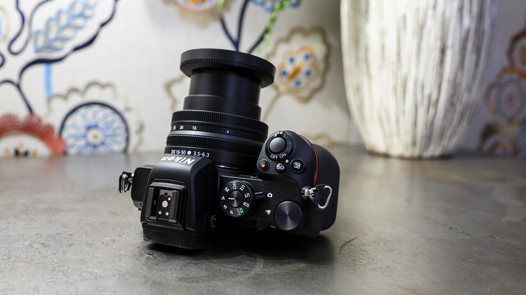 Nikon Z50 Z6 300mm F4 PF And TC A Compact Set up For Birds In nikon-z50-z6-300mm-f4-pf-and-tc-a-compact-set-up-for-birds-in