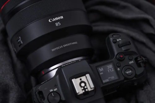 Is the Canon EOS R5s a Camera for Real Photographers?