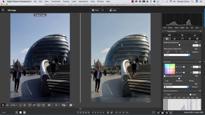 Adobe Camera Raw vs. Canon Digital Photo Professional: Which should you use and why?