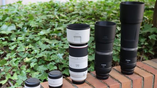 We Played with the New Canon RF 100-500mm Lens! How Is It?