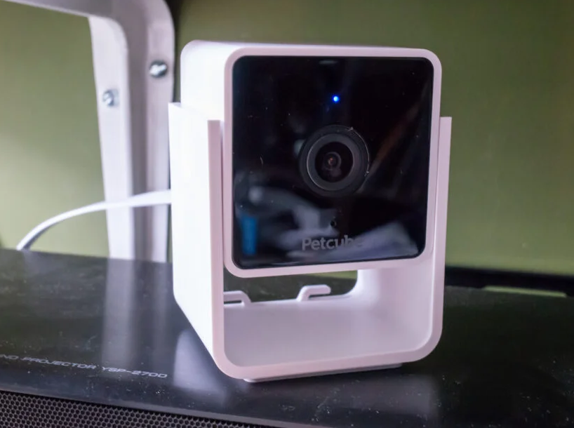 Petcube Cam Review