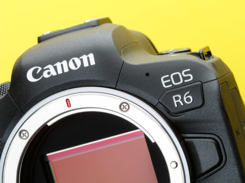 Canon EOS R6 Reviews : Top Selling Mirrorless Camera