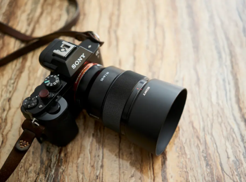 Beautiful Budget Bokeh: 5 85mm Primes Under $800 That Will Amaze You