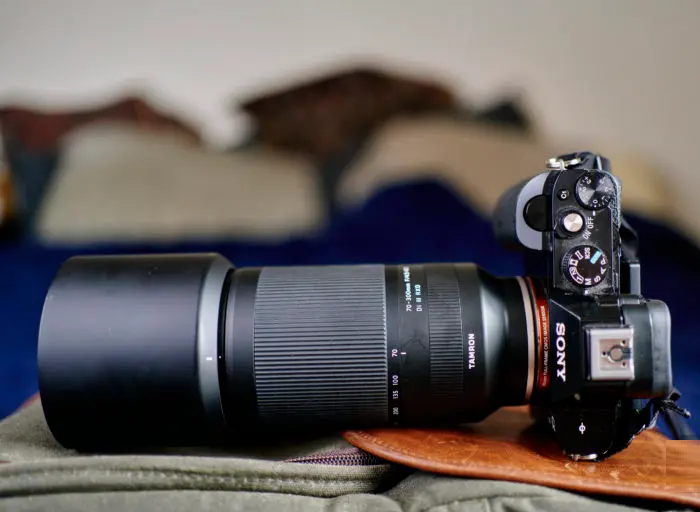 Bargain Bird Photography. Tamron 70-300mm F4.5-6.3 Di III RXD Review