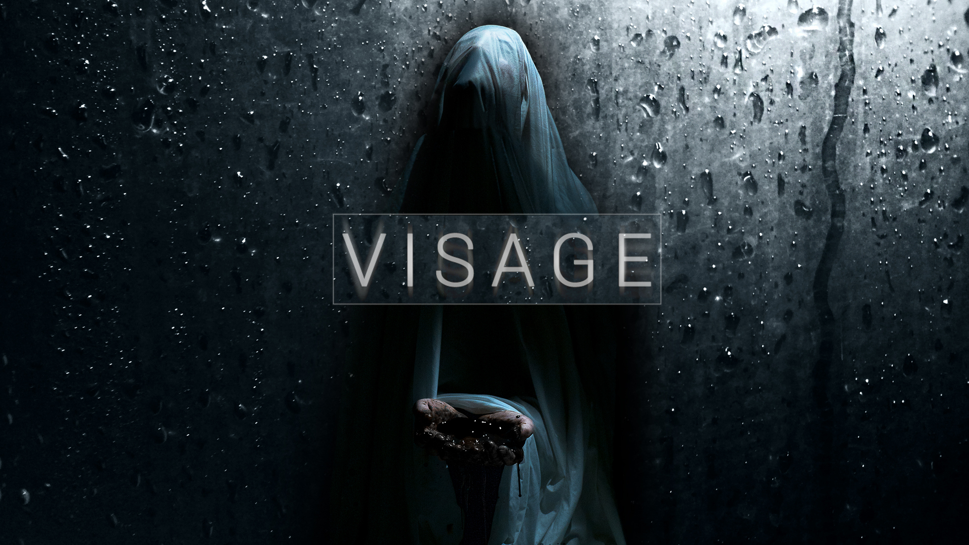Visage Review