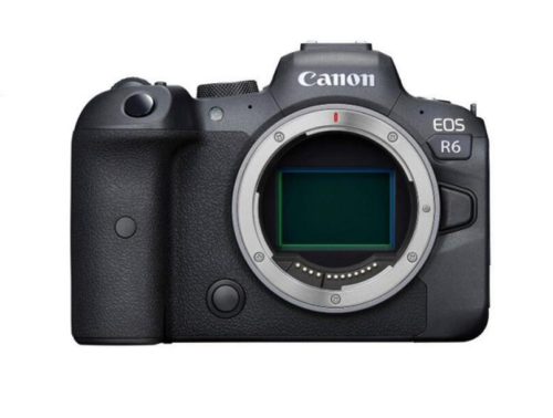 Canon EOS R6 Sensor Reviewed by DxOMark