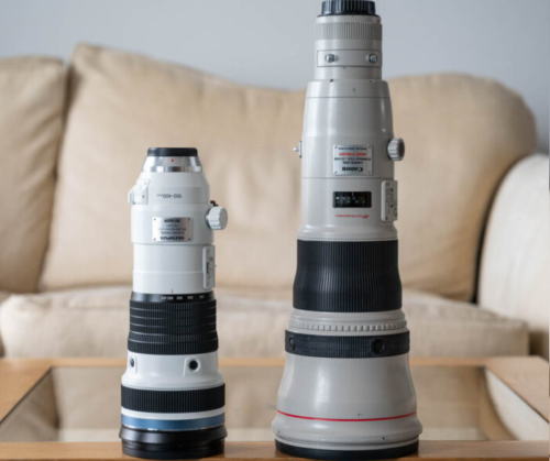 Olympus 150-400mm f4.5 Pro Review (vs Canon 800mm f5.6)
