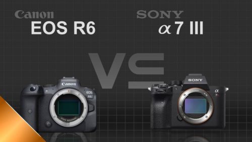 Canon EOS R6 vs Sony A7 III