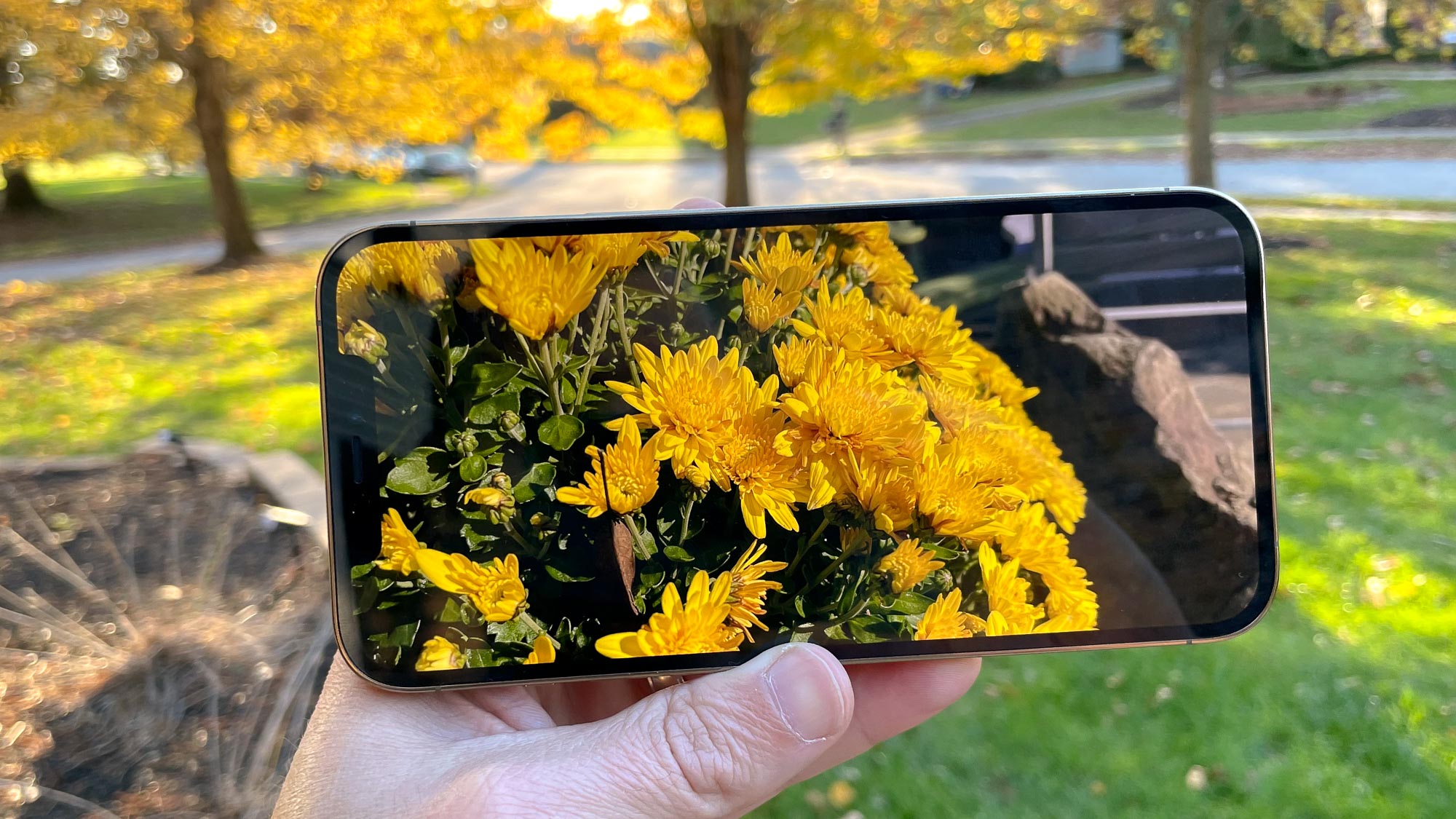 Best big phones of 2021: Top phablets 6 inches or larger