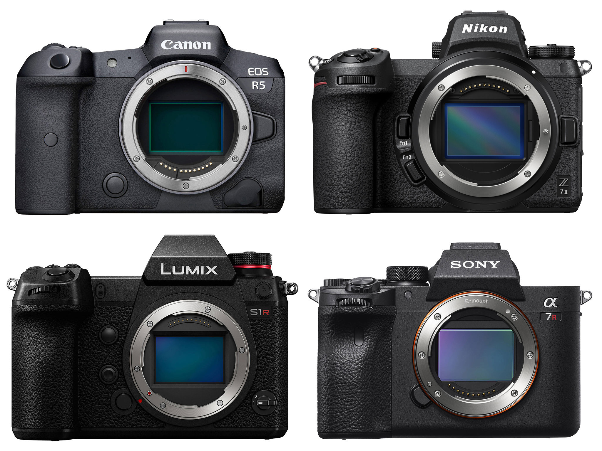 High Resolution Mirrorless Comparison Canon Eos R5 Sony A7r Iv Nikon Z7 Ii Panasonic S1r 1138