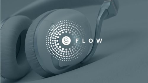 Iris Flow review