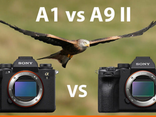 Sony A1 vs A9 II – The 10 Main Differences