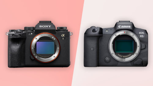 Sony a1 vs Canon EOS R5 Comparison Reviews