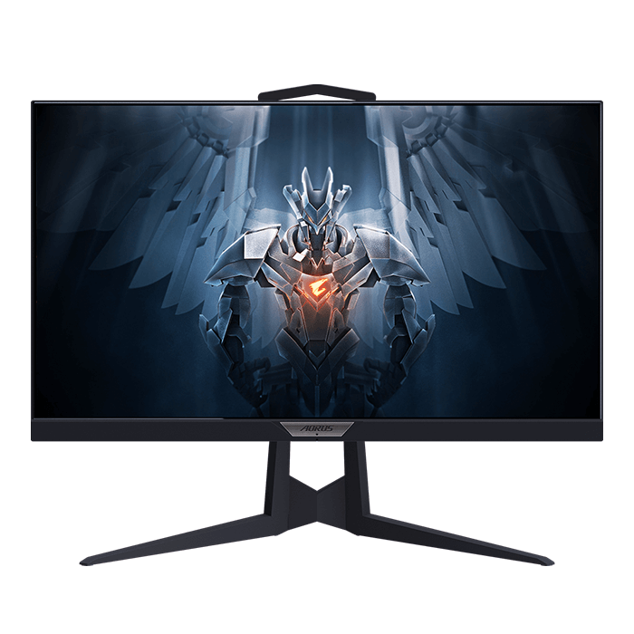 Aorus FI25F Review