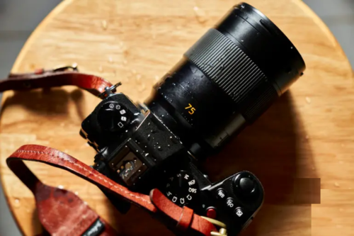 The Cost of Being Different. Leica 75mm F2 SL Review