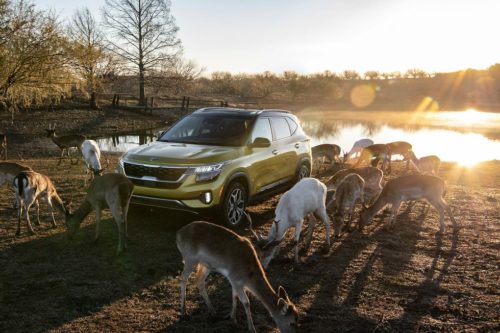 No, You Shouldn’t Buy a Crossover. This Is Why