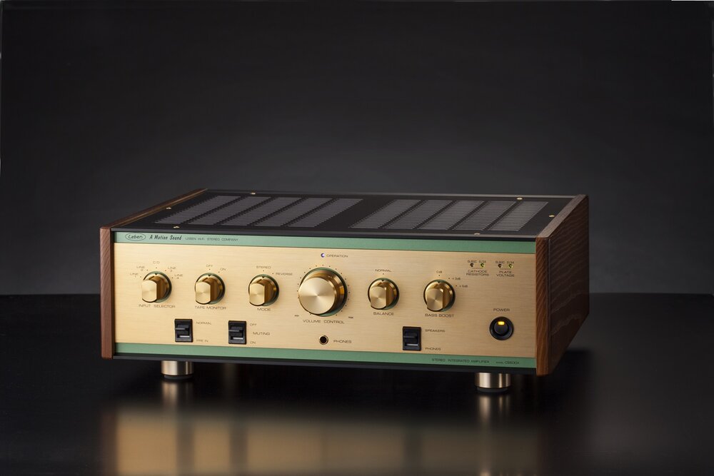 Leben CS600X review