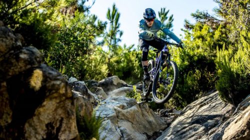 The Best E-Mountain Bikes of 2021