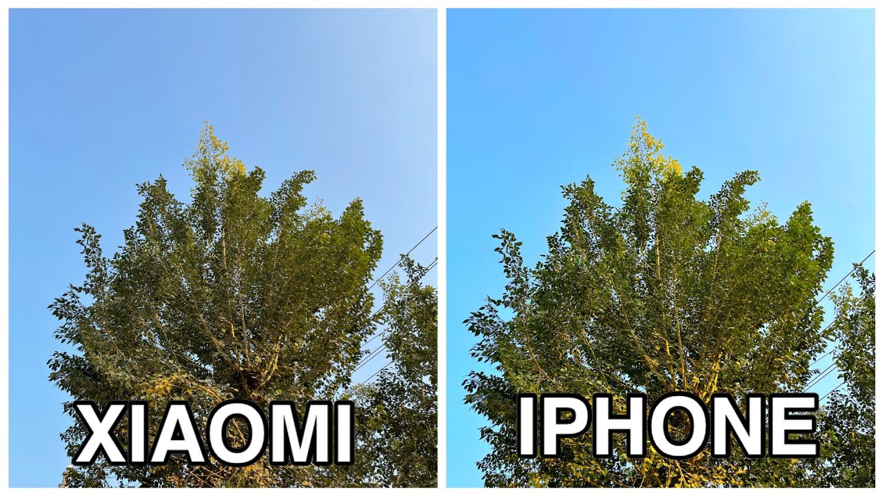 iphone 12 pro max vs mi 11t pro