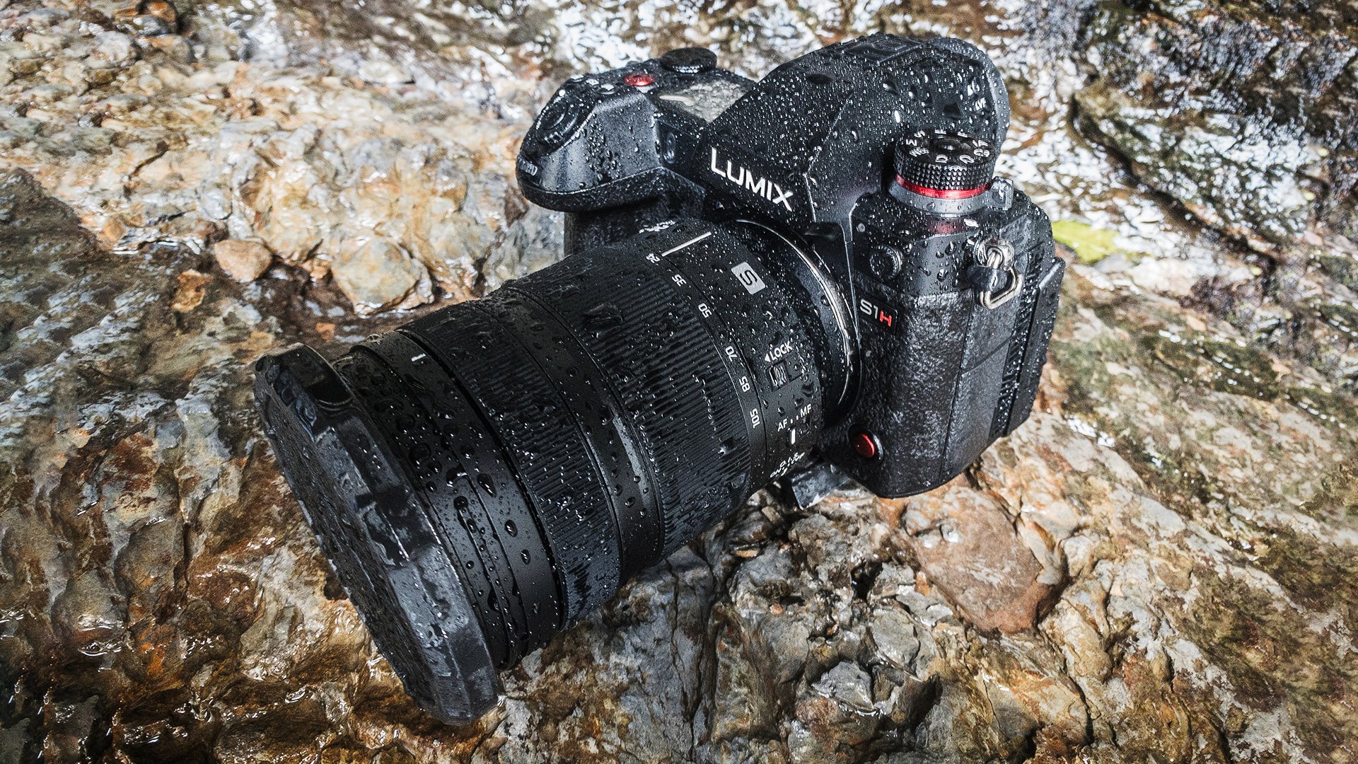 Best cameras for videographers