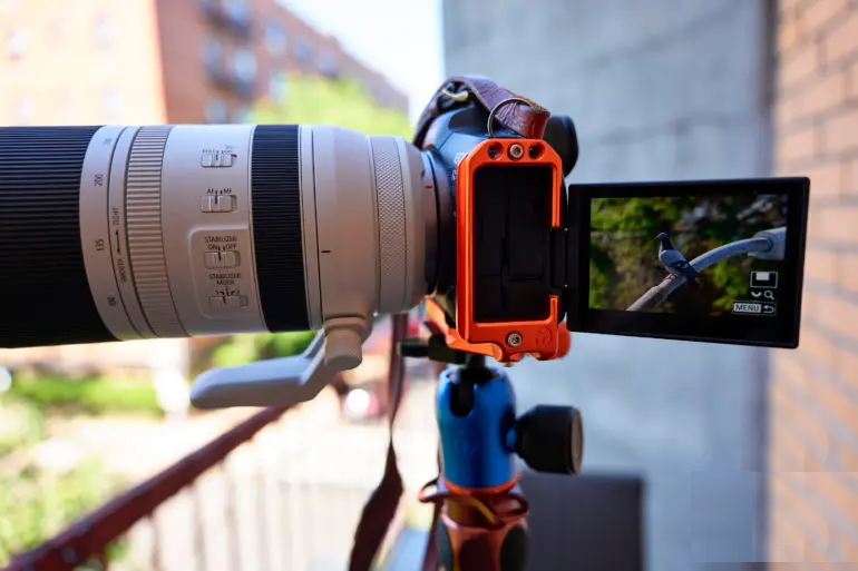 The 3 Legged Thing Roxie Helps the Canon EOS R5 Capture Better Birds