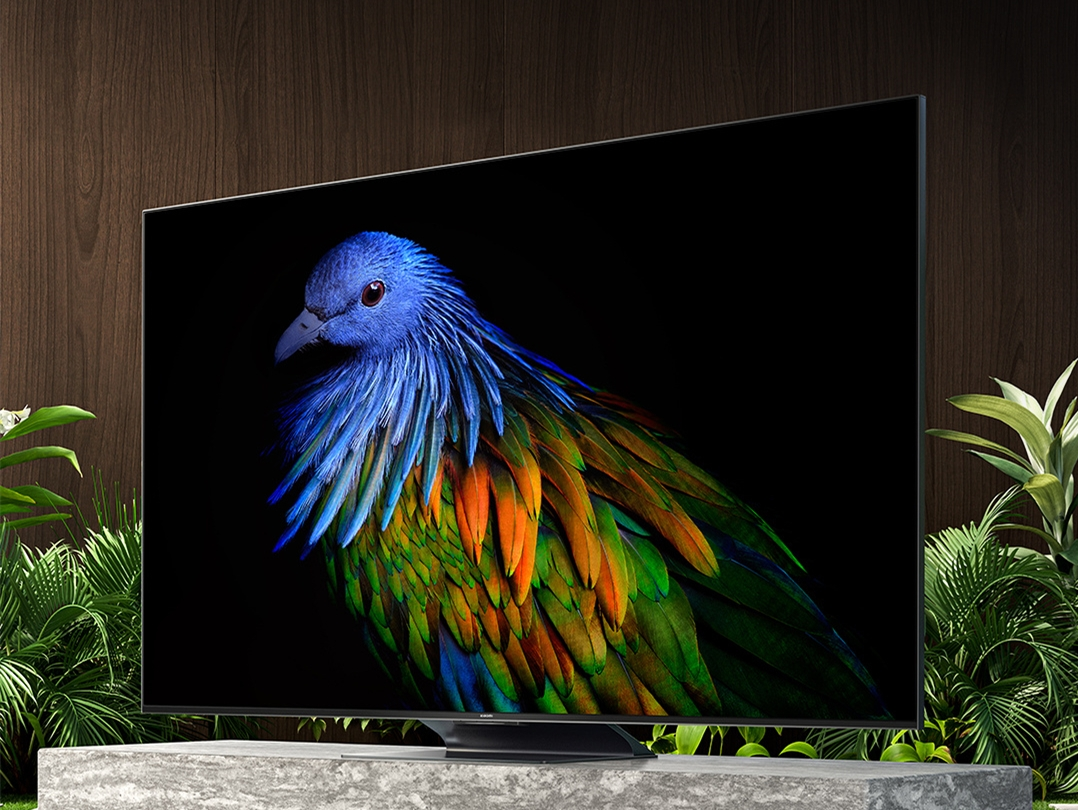 Xiaomi Mi TV ES 2022 Introduced: Up to 75-Inch Diagonal From $526 ...