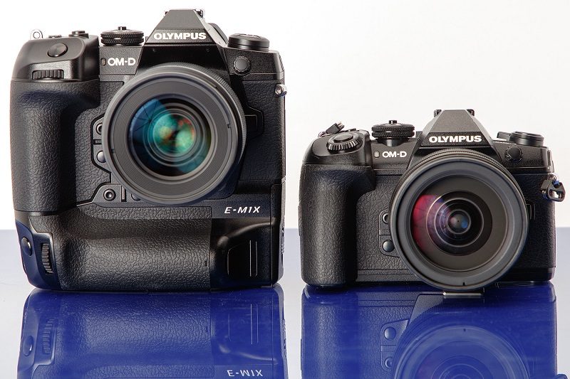 The Best Mirrorless Cameras for Wildlife and Bird Photography 2021