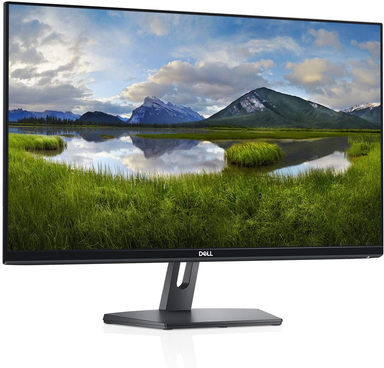 Dell SE2419HX