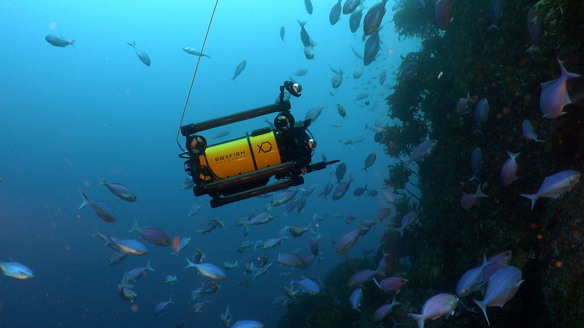 Boxfish Luna underwater drone
