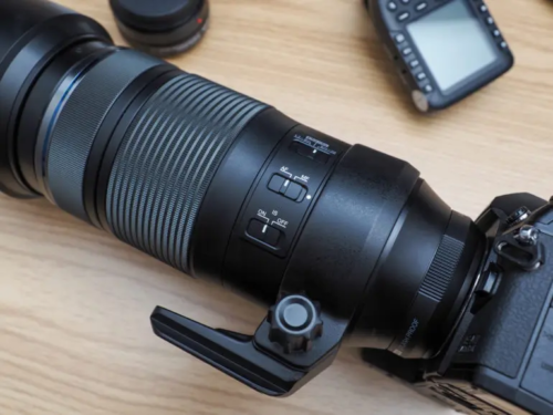 Why It’s Imperative That Olympus Makes Better Telephoto Lenses