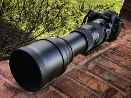 Do You Need the Sigma 150-600mm F5-6.3 DG DN OS?
