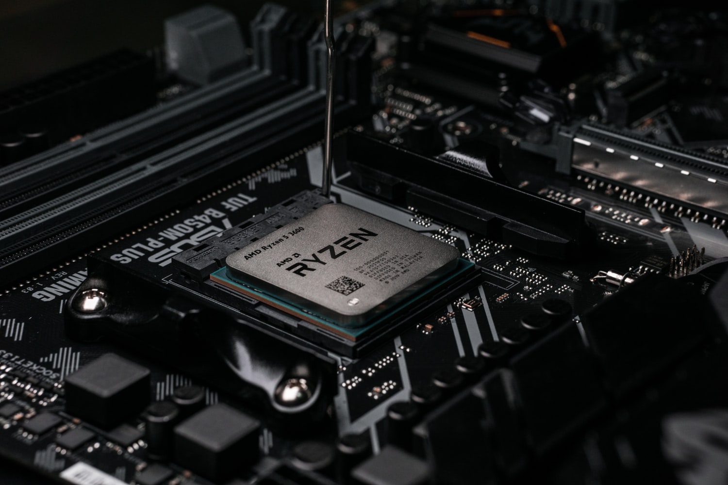 AMD