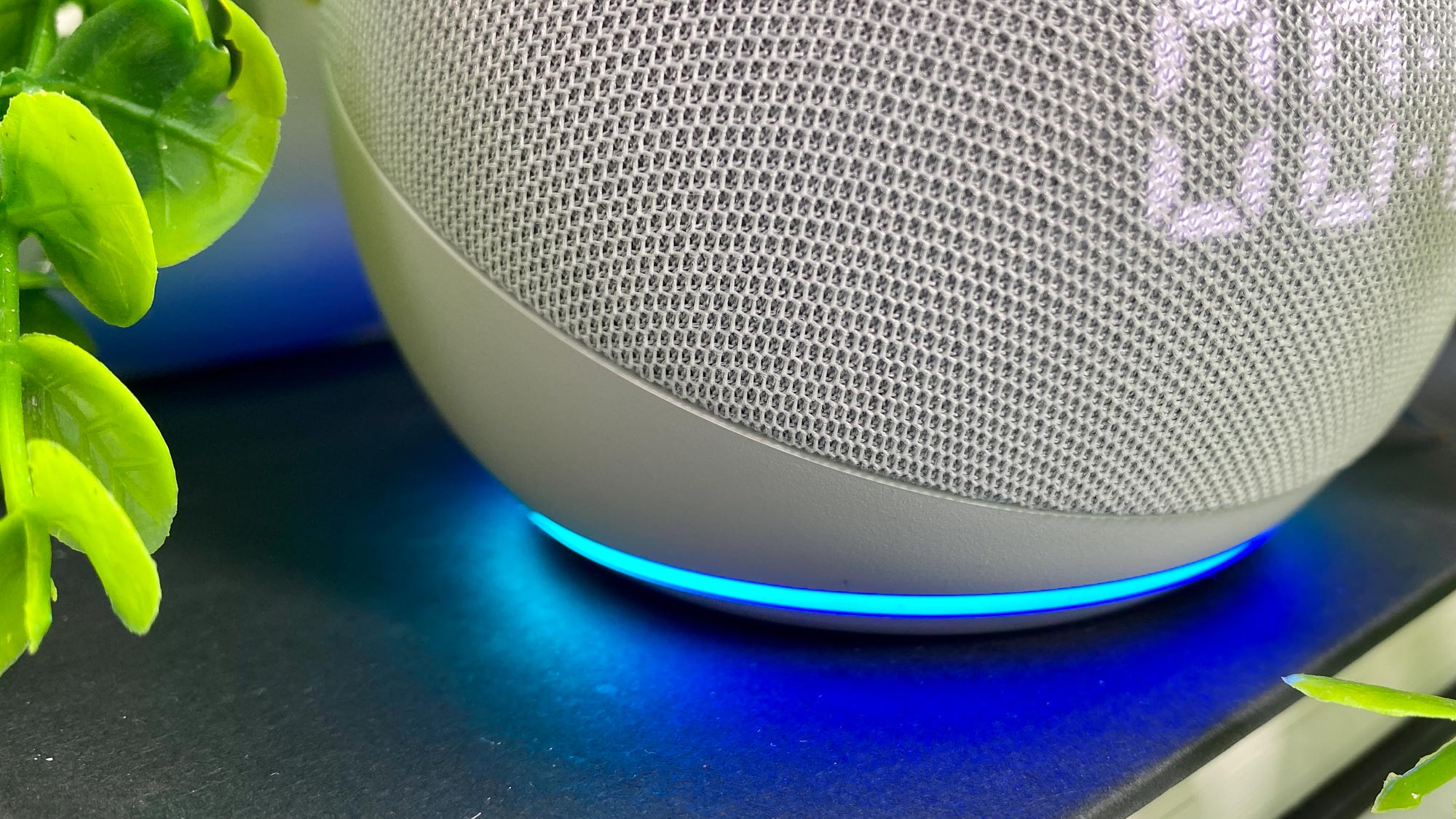 Amazon Alexa: The best skill for keeping your home safe is also free