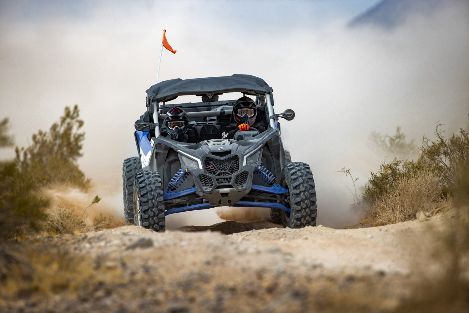 Can-Am lineup