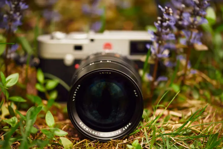 3 Beautiful 90mm Lenses That You’re Bound to Love!