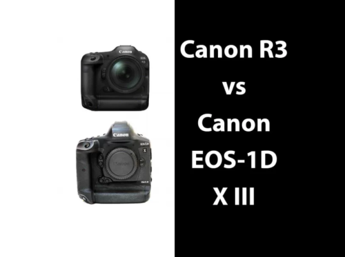 Canon R3 vs Canon EOS-1D X Mark III – Head-to-Head Comparison